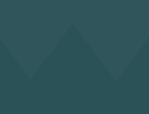 Rey Toro. Personalización de uniforme corporativo, autoservicio, bancario, industrial, restaurantera, gasolinera, alimentaria, médica, logística y automotriz.